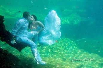 478153_602525916424988_617733411_o