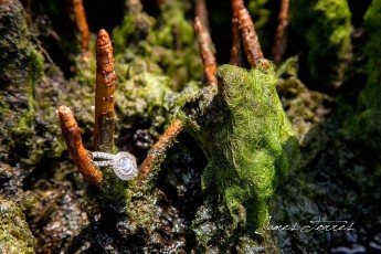 479129_602525199758393_2084502358_o