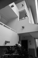 894936_600958336581746_1633830324_o