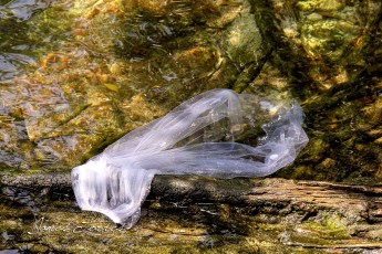 920548_602526133091633_1285497969_o