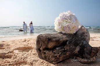 921284_602524019758511_1625665680_o