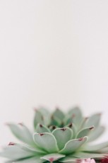 View More: http://jlinphotography.pass.us/danielle--jasons-wedding-jpegs