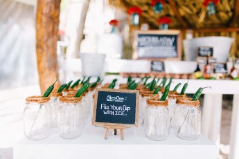View More: http://jlinphotography.pass.us/danielle--jasons-wedding-jpegs