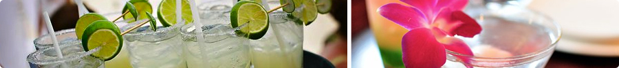 What is a Fresa?