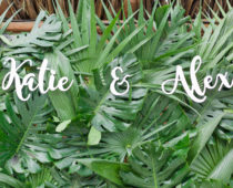 Katie & Alex